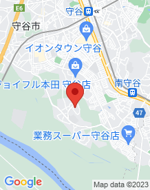 【守谷市】お化け石の画像