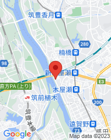 【北九州市】3本イチョウの木の画像
