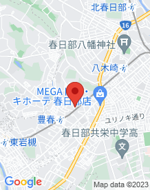 【埼玉県】きんぺどんの画像