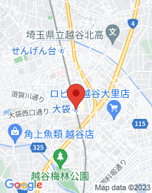 【埼玉県】大袋駅の画像