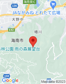 【和歌山県】森林公園 雨の森の画像