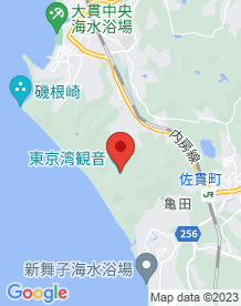 【千葉県】東京湾観音の画像