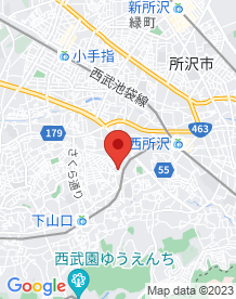 【所沢市】岩崎弁財天の画像