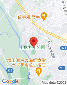 【上尾市】上尾丸山公園の画像