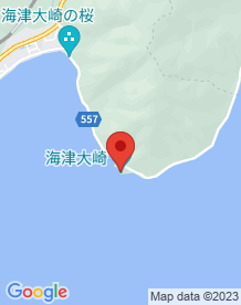 【滋賀県】海津大崎のトンネルの画像