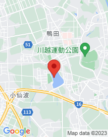 【埼玉県】伊佐沼の画像