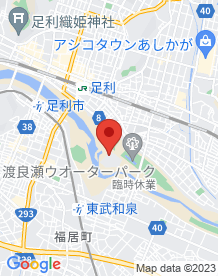 【足利市】岩井山城跡(勧農城跡)の画像