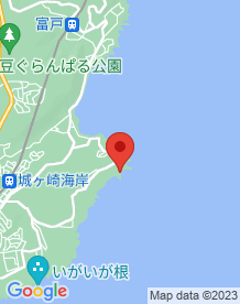 【伊東市】城ヶ崎海岸の画像