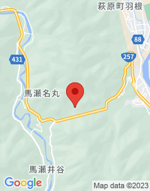 【岐阜県】日和田隧道(旧日和田トンネル) の画像