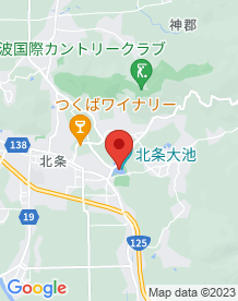 【つくば市】北条大池の画像