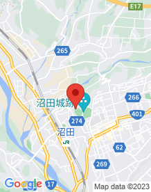 【沼田市】平八石の画像