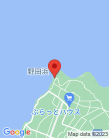 【大島町】野田浜海岸の画像