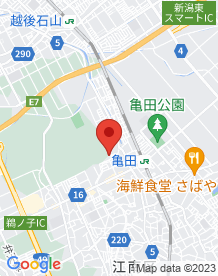 【新潟市江南区】大月公園の画像