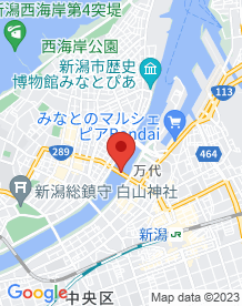 【新潟市中央区】萬代橋の画像