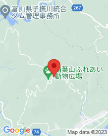 【小矢部市】稲葉山の画像