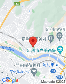【足利市】足利公園の画像