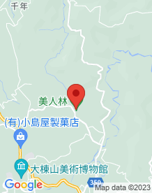 【十日町市】美人林の画像