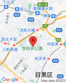 【世田谷区】世田谷公園の画像