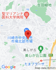 【川崎市】菅生緑地の画像