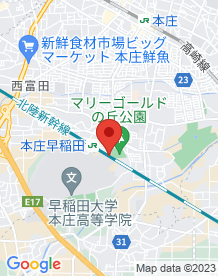 【本庄市】本庄早稲田近くの陸橋の画像