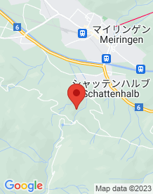 【スイス】ライヘンバッハの滝の画像