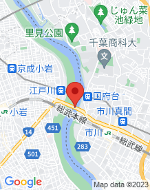 【千葉県】市川橋の画像