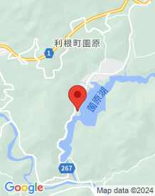 【沼田市】天狗大明神の画像