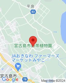 【沖縄県】新婚の森の画像