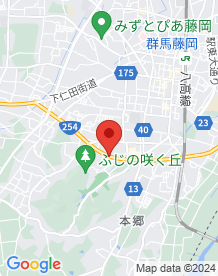 【群馬県】藤の丘トンネルの画像