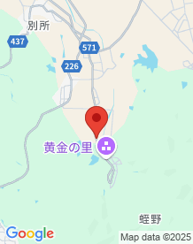 【五泉市】大いちょうと石碑群の画像