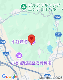 【長浜市】小谷城跡の画像
