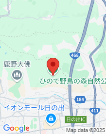 【東京都】ひので野鳥の森自然公園の画像