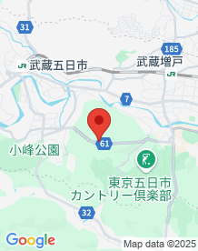 【あきる野市】網代城跡の画像