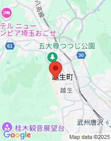 【埼玉県】さくらの山公園の画像
