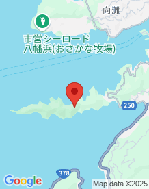 【愛媛県】自然休養林諏訪崎の画像
