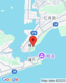 【高知県】種崎千松公園の画像