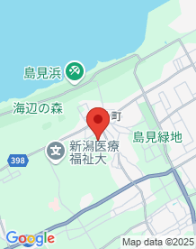 【新潟県】島見公園の画像