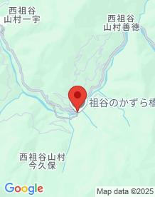 【徳島県】祖谷のかずら橋の画像