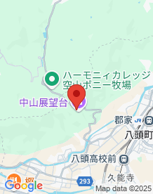 【鳥取県】霊石　亀石の画像