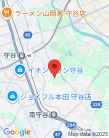 【茨城県】守谷市本町の廃稲荷神社の画像
