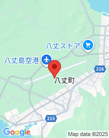 【東京都】藤田航空一観光旅客機遣難 19人全員死亡の画像