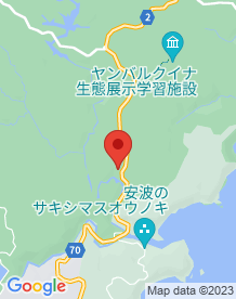 【沖縄県】タナガーグムイの画像