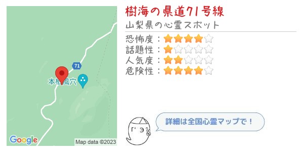 樹海の県道71号線