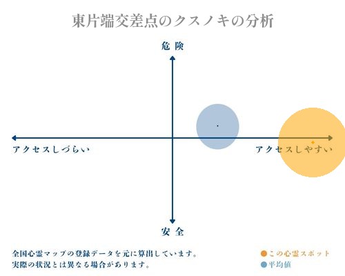 東片端交差点のクスノキの分析画像