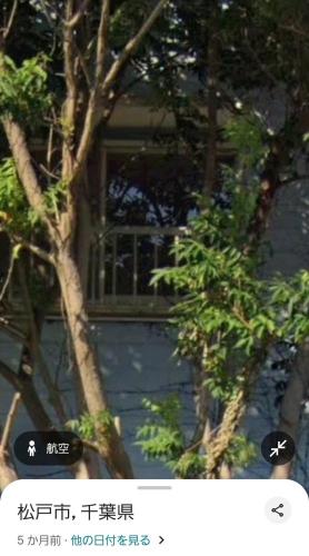 ここだと思われる場所