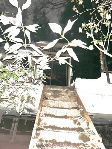 現在のオレンジハウス