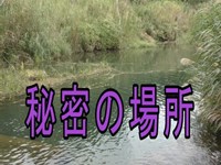 秘密のスポットで釣り対決【やんばるの湧き水】