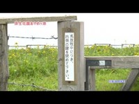 原生花園「原生花園あやめヶ原」北海道厚岸町「最新版」