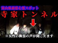 【大発狂】最恐心霊スポット”寺家トンネル”に行ったら謎の音が聞こえすぎた...【鳥肌】