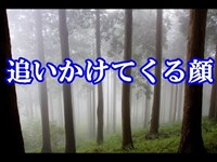 追いかけてくる顔【高尾山林道の心霊恐怖体験】